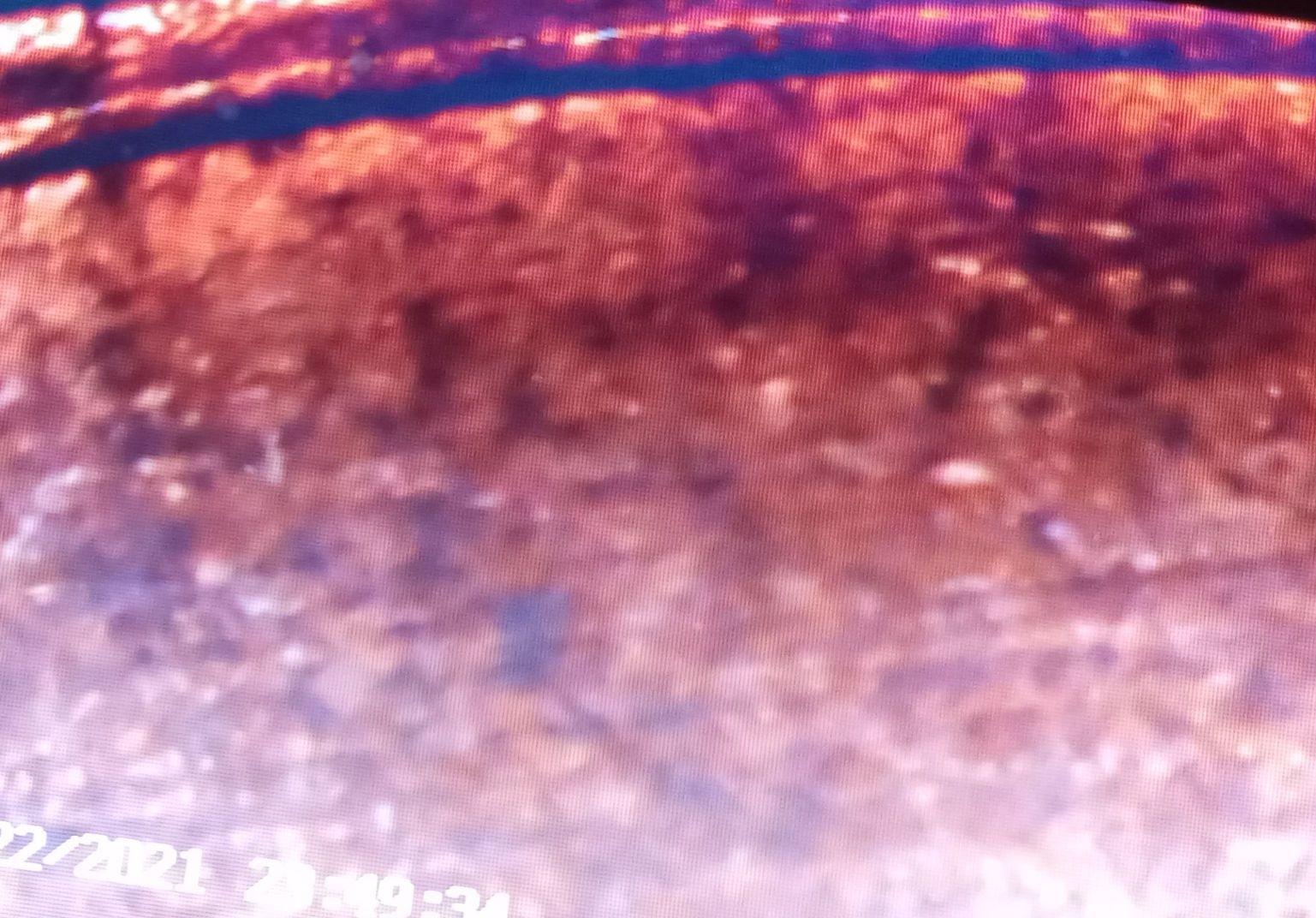Need-Help-With-This-No-Date-Penny